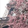 prettyinpink___